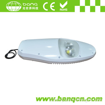 100W LED Street Light (CE/RoHS)